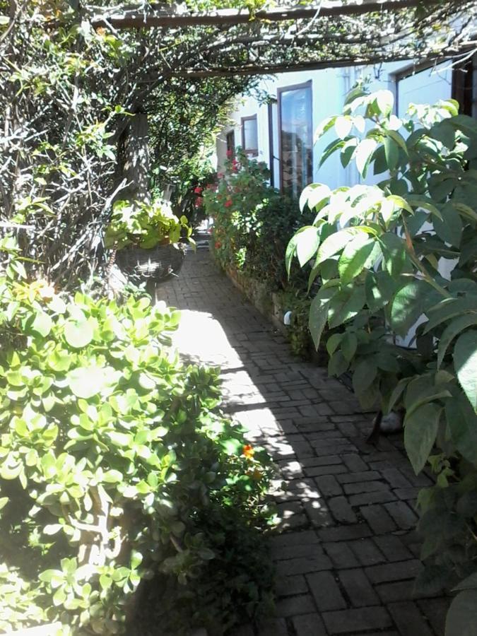 Self Catering Unit 6, Sandbaai Hermanus Exterior foto