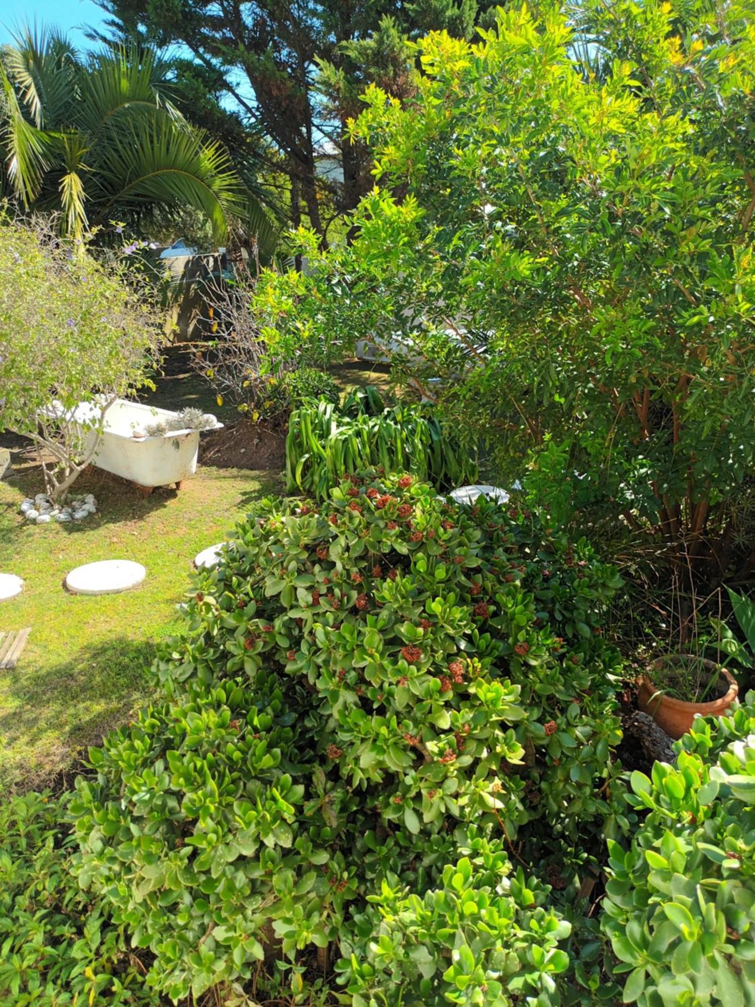 Self Catering Unit 6, Sandbaai Hermanus Zimmer foto